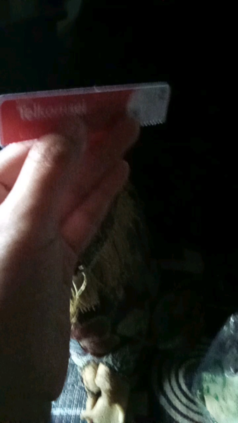 Buyer review video 2