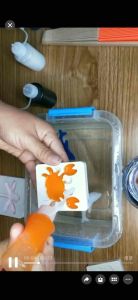 SG Ready Stock - Magic Aqua Jelly Water Science Kit | Educational DIY Sensory Toy for Kids Birthday Gift Christmas Gift