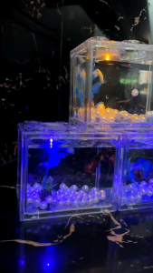 MUTIARA UNTUK HIASAN AQUARIUM ISI 50 BIJI - APH2