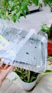 Lò bếp nướng than inox kèm vỉ nướng - Lò Nướng