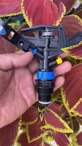 Combo 10 Béc Tưới Phun Cánh Đập Nhỏ 2 Tia Malaysia Ren Ngoài 21-27 - Hệ Thống Tưới Phú Hưng