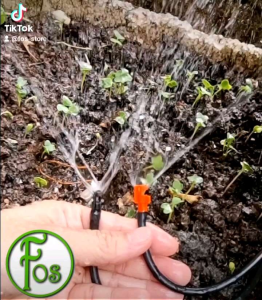 Spray jet Micro Sprinkler (40pack) - [1 pack / 100 pcs]