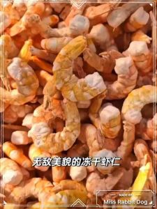 Ready Store Freeze-Dried Shrimp For Pet (2pcs) Dog Snack Cat Treat Big Size Prawns Kucing Angjing Udang宠物冻干虾仁超大号/狗猫仓鼠零食