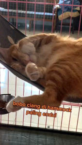 HAMMOCK AYUNAN KUCING - UKURAN 50X40CM KAIN TEBAL