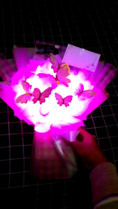 Buket Kupu-kupu LED Variasi Warna Pink: Buket Wisuda/Birthday/Wedding/Engagement