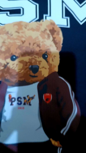 T-SHIRT PSM MAKASSAR BERUANG ( SABLON DTF )