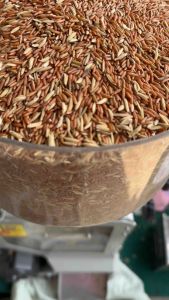 ข้าวกล้องสังหยด ปลูกเองในพื้นที่อำเภอสันกำแพง จังหวัดเชียงใหม่ ไม่มีสารกันแมลง บรรจุถุงสูญญากาศ ขนาด 600 กรัม ถุงละ 55 บาท