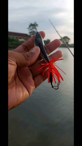 Geol Rattel GARAGA Umpan Casting Toman