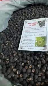 (SALE KHỦNG 30%-60%) Chuối cô đơn (chuối chân voi chuối hột lớn chuối hột mồ côi) đánh bay sỏi thận rất tốt cho tiểu đường ( 1kg )-Qùa Tây Bắc 27