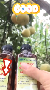 [1 Chai ] Nước Ngậm Sâu Răng Hôi Miệng Nhiệt Miệng