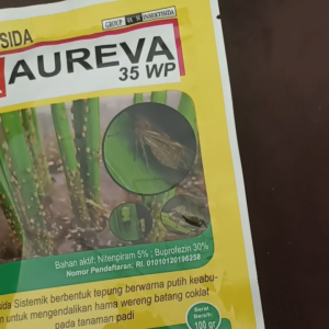INSEKTISIDA DK AUREVA Isi 100 Gram Pengendali Hama Wereng Coklat Semua Tanaman
