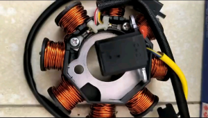 Spul Set Magnet Magneto Stator Assy Suzuki Shogun 125 FL Axelo 125 Shogun SP New NR Original