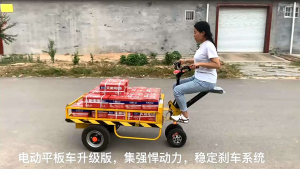 XE ĐIỆN TẢI HÀNG ĐA NĂNG VỚI SỐ TIẾN LÙI TÙY Ý