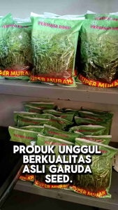 PROMO Bibit Kangkung Super Murah 1 kg Asli Kemasan Pabrik
