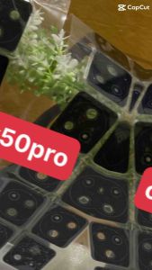 Kính camera sau xiaomi redmi k50 / k50 pro  thay kính camera sau xiaomi redmi k50k50pro hàng chuẩn giá tốt