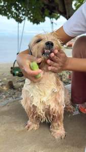 BUDGET KIT (10 ITEMS)