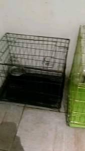 kandang hewan ukuran 75x55x45