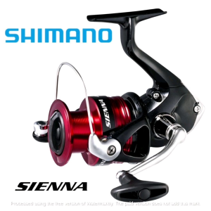 SHIMANO 19" SIENNA FG FISHING REEL (SPINNING)