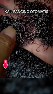 COD Kail anti mocel (automatic flip hook) isi 20