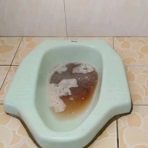 AHLINYA WC MAMPET