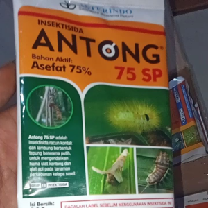 Antong insektisida 100gram bahan aktif asefat 75%
