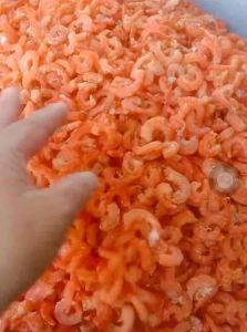 500g Tôm khô size trung rất ngon ngọt thịt Cà Mau nhà làm (y hình tự chụp)