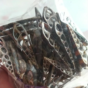 cangkang kerang kopasan komak hitam per 100gr