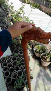 Tongkat Jalan Kayu Kelor Emas Ukir Naga Jawa