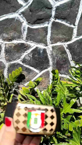 GESPER SABUK SET TALI ASN LOGO KABUPATEN PRINGSEWU MOTIF LOGO WARNA - EXCLUSIVE