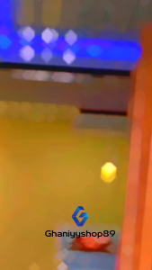 Lampu gantung kaca mini bar dapur minimalis minibar