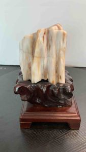 TSK Crystal SHY038 天然树化玉 黄里透白 色泽圆润 特制雕刻实木底座 Natural Tree Fossil Jade