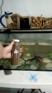 Pakan Ikan Hias Kecil Makanan Ikan Kecil Hias Pelet Ikan Guppy Glowfish Cupang