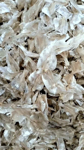 Ikan Asin Kalapan/Pakang/Amigo Belah Tawar Super