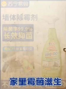 OHHDEER 600g Anti-mildew agent Instant Mold and Mildew Stain Remover Wall Mildew Remover Spray Cleaning Agent 轻松除霉清洁剂