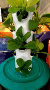 Paket Pot Tanaman Vertikal Hidroponik 4 Inch 24 Lubang Siram Otomatis
