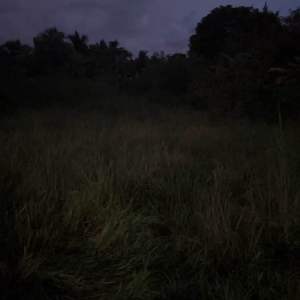 หัวไฟฉายคาดหัว LED HS-6008 8000w