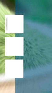 Lohas Organic Moringa Leaf Powder 200g 有机辣木叶粉 #HALAL Serbuk Daun Moringa Organik Exp:06/26