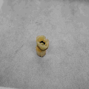 soket socket reset em connector keyless soket kosongan