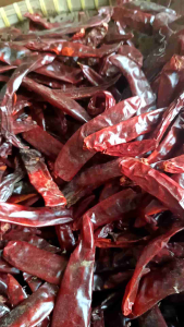MURAH 1KG CBE MERAH BESAR KERING TIDAK PEDAS