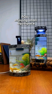 akuarium tabung ikan cupang/gapy/dan lainnya dekorasi meja