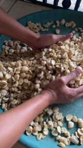 Kemiri Pecah Bumbu Masak