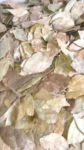 Dahon ng Laurel 200grms Not Whole