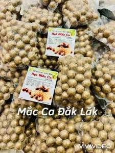 Hạt Mắc Ca Đak Lak 500g (size: 23-29) Hạt Măc ca nứt vỏ loại 1 Hạt mắc ca Tây Nguyên