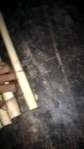 Rotan batangan panjang 1 meter diameter 2-3 cm kayu rotan batangan termurah Tanaman Hias Dalam Pot Rotan Aksesori Interior Berbahan Rotan - Lazada