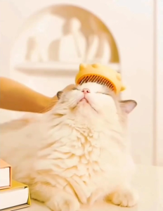 1 Pcs Sisir Otomatis Kucing Anjing Hewan Sisir Bulu Hewan Peliharaan Anti Rontok