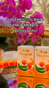 O AYU vit penggemuk badan herbal PERMANEN cepat VIRAL TIKTOK ORI 30Kapsul