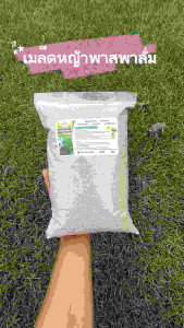เมล็ดหญ้าพาสพาลัม 1 กิโลกรัม เหม็ดหญ้าสนาม หญ้าพาสพาลัม