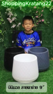 กระถาง 9 นิ้ว เบลล่าตาข่าย (สินค้าตรงปก