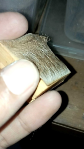 KITAB ANDARUN arab Sampul asli kulit k!j4ng