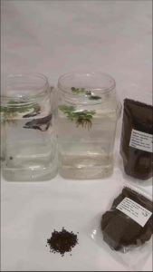 Protein 47%-Taiwan MICRO (Floating )Fish Pellet Size 1mm For Betta Guppy Molly Sword Fish and All Tropical Fish